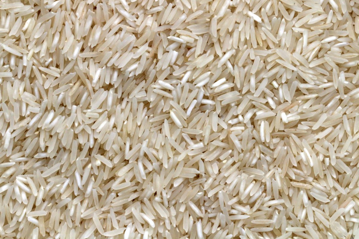 Riso bianco ottenuto dopo i processi di lavorazione del riso