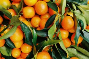 arance da usare nel frullato di kiwi e arancia con ananas e mango